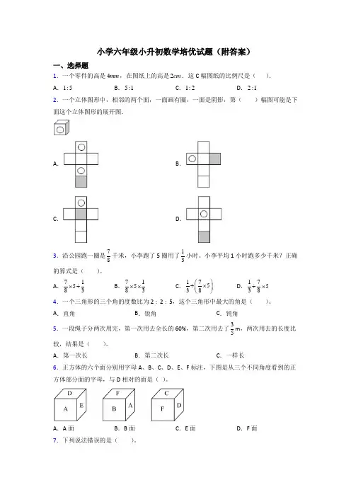 小学六年级小升初数学培优试题(附答案)