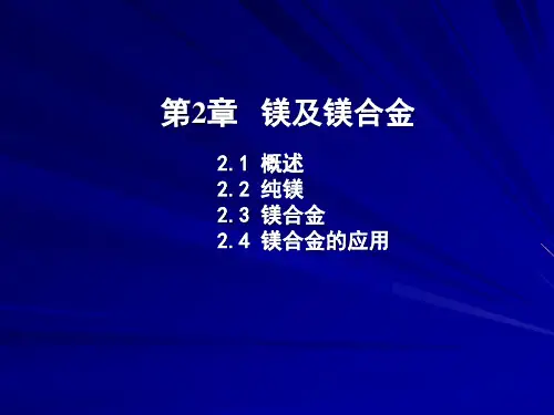 最新文档-镁及镁合金ppt课件-PPT精品文档