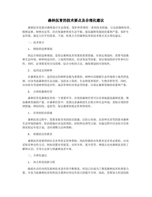 森林抚育的技术要点及合理化建议