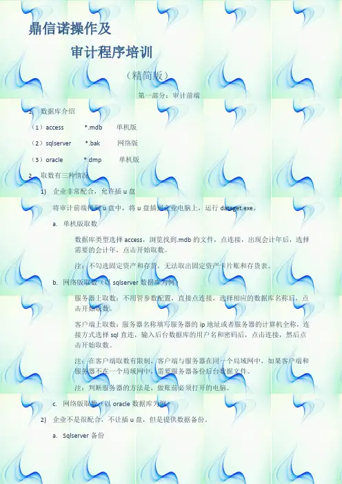 (完整版)审计人员初步培训鼎信诺)