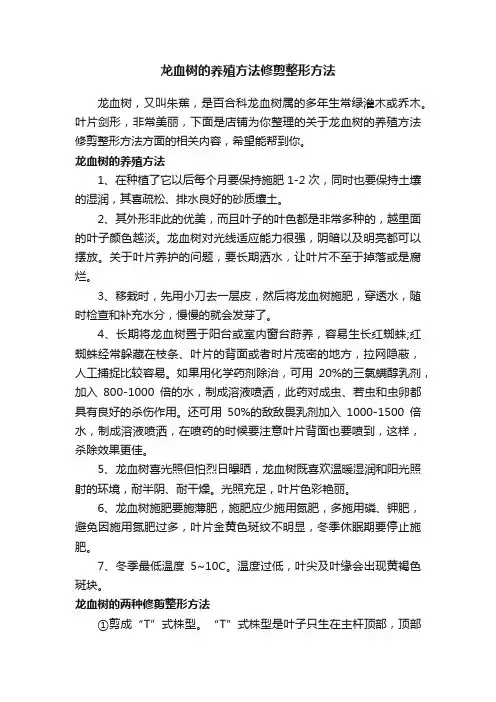 龙血树的养殖方法修剪整形方法