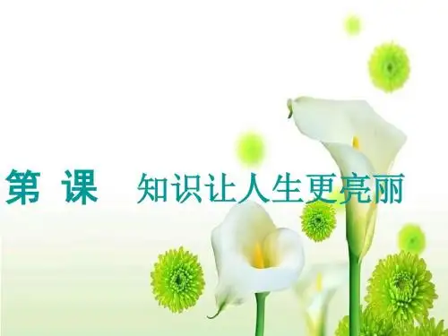 学习--成才的阶梯课件1_图文