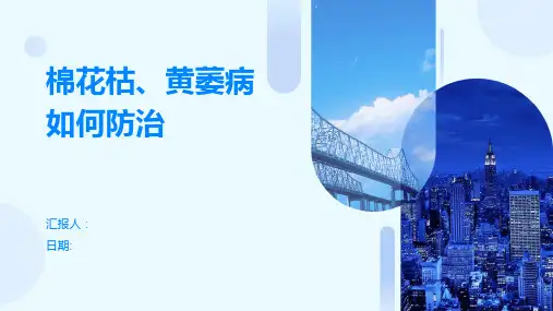 棉花枯、黄萎病如何防治