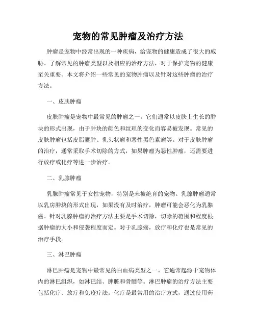宠物的常见肿瘤及治疗方法