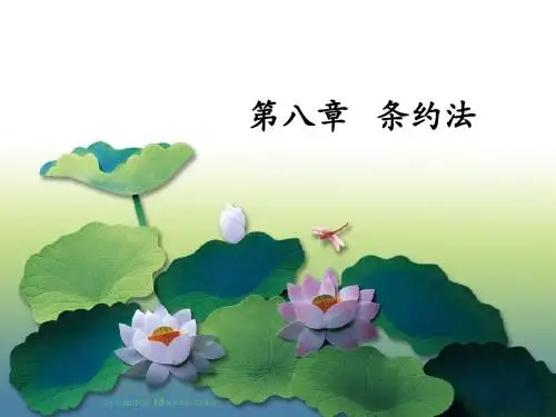 条约法课堂ppt