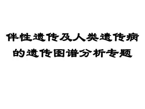 专题二十四：人类遗传病的遗传图谱分析专题