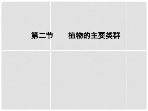 八年级生物下册 第22章 第3节 植物的主要类群课件2 北
