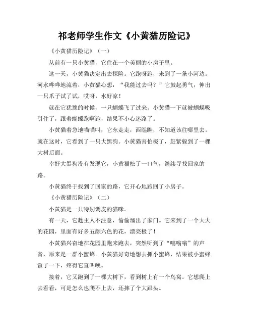 祁老师学生作文《小黄猫历险记》