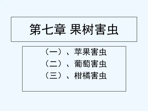 第七章 果树害虫 PPT