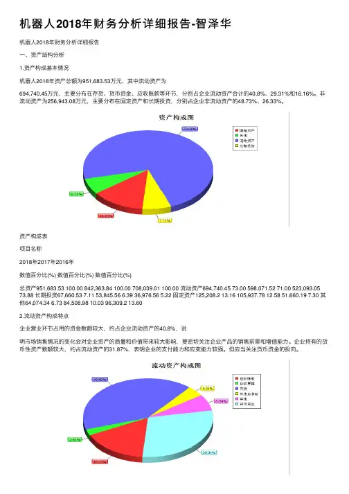 机器人2018年财务分析详细报告-智泽华