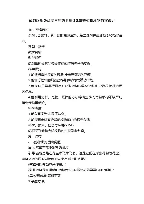 冀教版新版科学三年级下册10.蜜蜂传粉科学教学设计