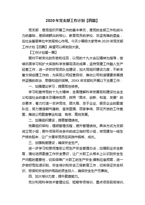 2020年党支部工作计划【四篇】
