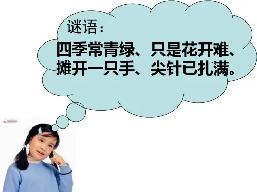 六年级上册语文课件-4.15 仙人掌｜西师大版 (共28张PPT)