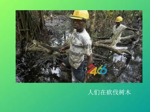 呼唤环保的小招贴(课堂PPT)
