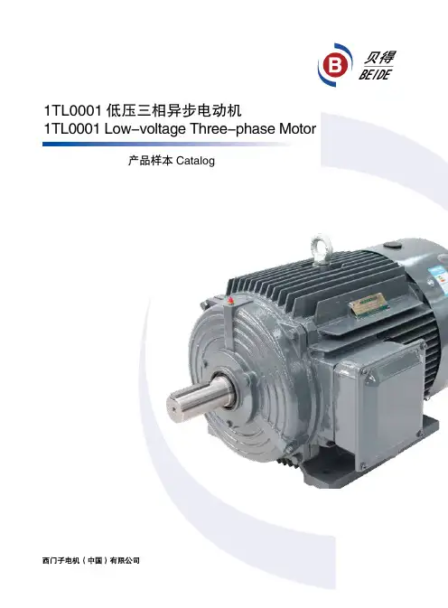1TL0001-西门子贝德电机选型手册