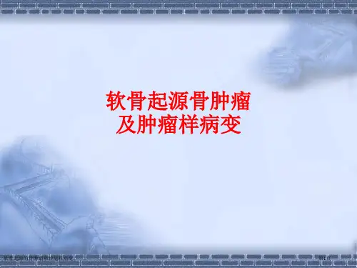 软骨起源的骨肿瘤和肿瘤样病变