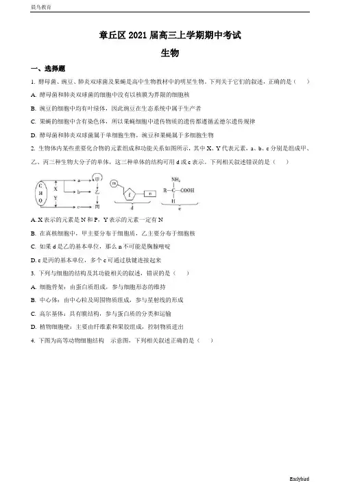 山东省济南市章丘区2021届高三上学期期中考试生物试题 含答案