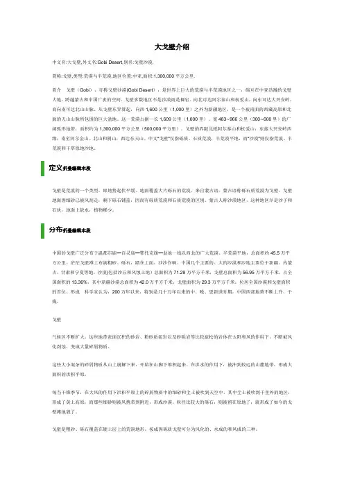 大戈壁介绍