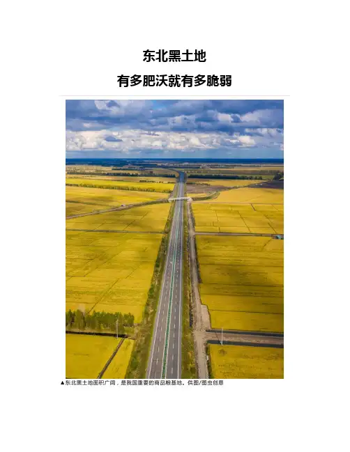 东北黑土地有多肥沃就有多脆弱