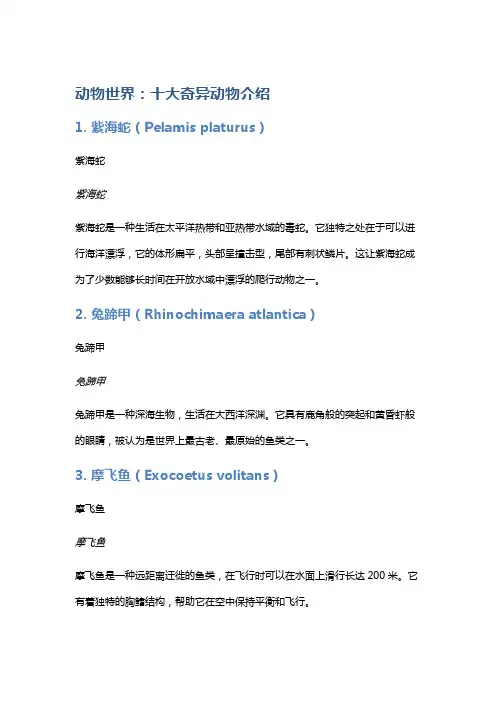 动物世界：十大奇异动物介绍