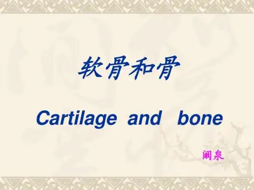 软骨和骨