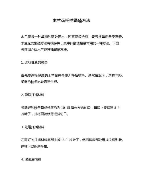 木兰花扦插繁殖方法