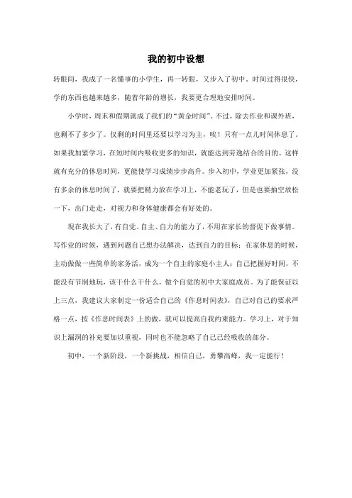 我的初中设想_初中初一作文500字