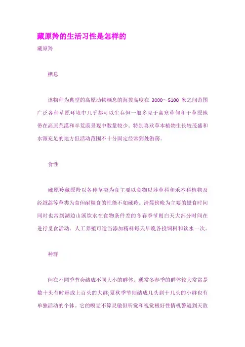 藏原羚的生活习性是怎样的