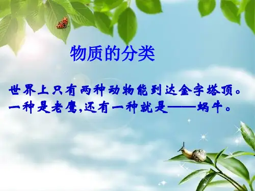 初中化学物质的分类专题(共27张PPT)