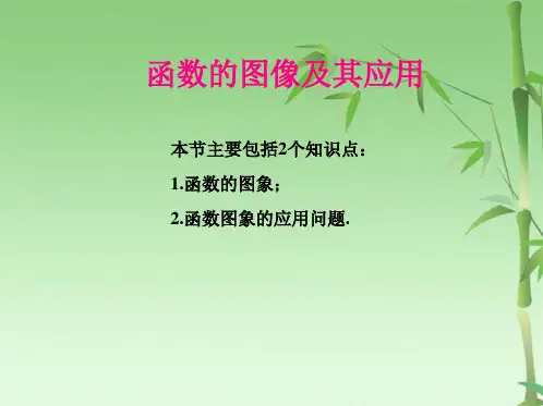 届高三数学一轮复习-函数的图像及其应用(共58张PPT)