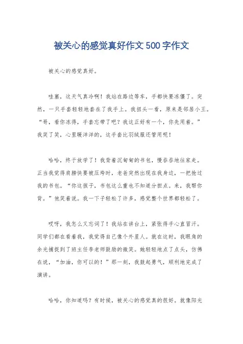 被关心的感觉真好作文500字作文