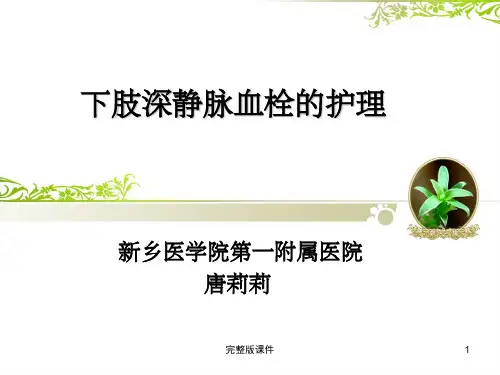 下肢深静脉血栓的护理-pptPPT课件