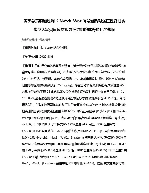黄芪总黄酮通过调节Notch-Wnt信号通路对强直性脊柱炎模型大鼠炎症反应和成纤维细胞成骨转化的影响