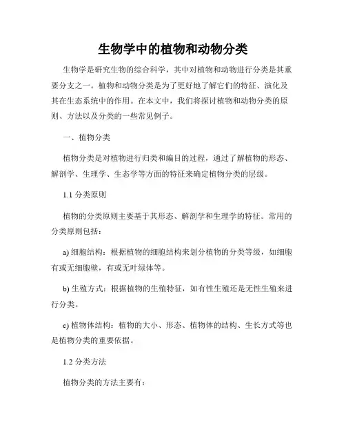 生物学中的植物和动物分类