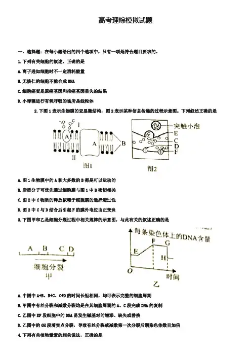 (高考理综模拟试题10份合集)贵州省六盘水市高考理综模拟试题试卷合集