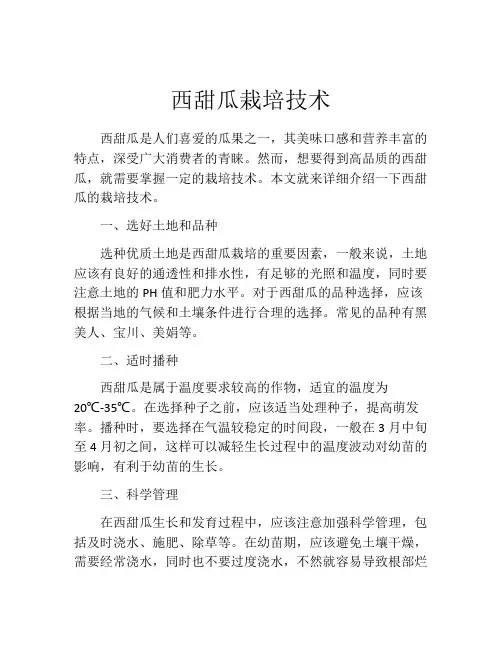 西甜瓜栽培技术