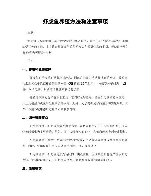 虾虎鱼养殖方法和注意事项
