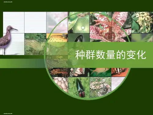 生物人教版必修三4.2种群的数量变化课件