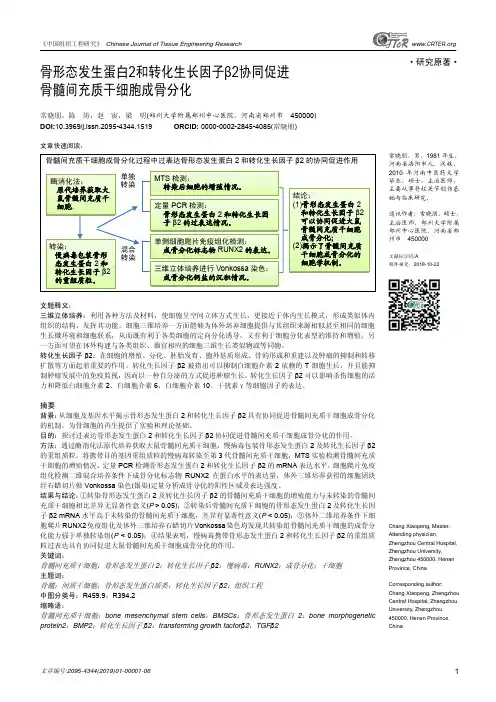 骨形态发生蛋白2和转化生长因子β2协同促进骨髓间充质干细胞成骨分化