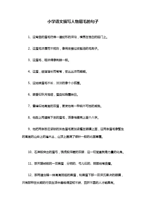 小学语文描写人物眉毛的句子