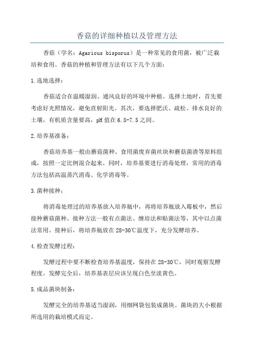 香菇的详细种植以及管理方法