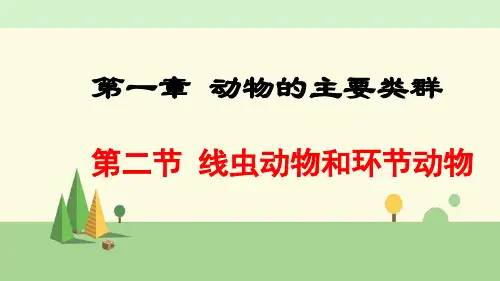 人教版 生物  八年级上册    线虫动物和环节动物