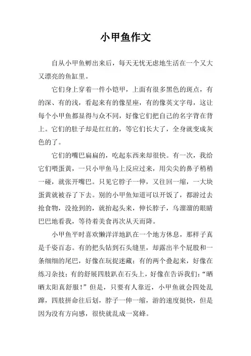 小甲鱼作文
