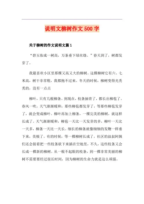 说明文柳树作文500字
