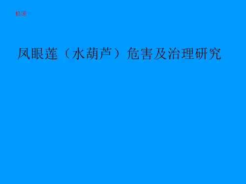 凤眼莲(水葫芦)危害及治理-PPT精选文档