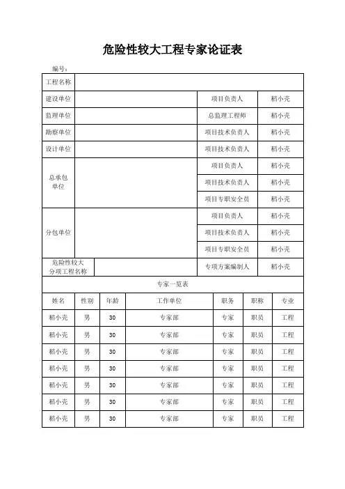 危险性较大工程专家论证表