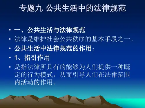 公共生活中的法律规范(1).ppt