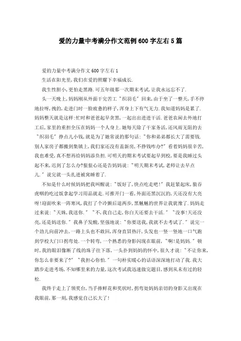 爱的力量中考满分作文范例600字左右5篇