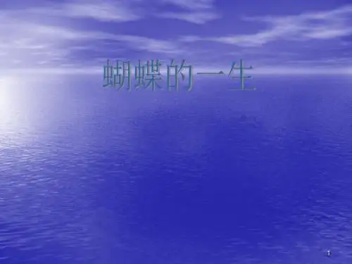 蝴蝶的一生ppt课件