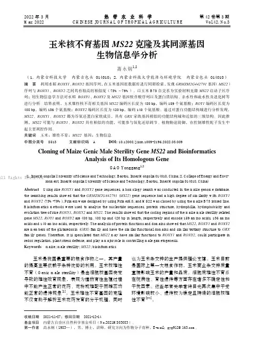 玉米核不育基因MS22克隆及其同源基因生物信息学分析